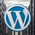 Wordpress İçin Hangi Hosting İle En Yüksek Performansı Elde Edersiniz?