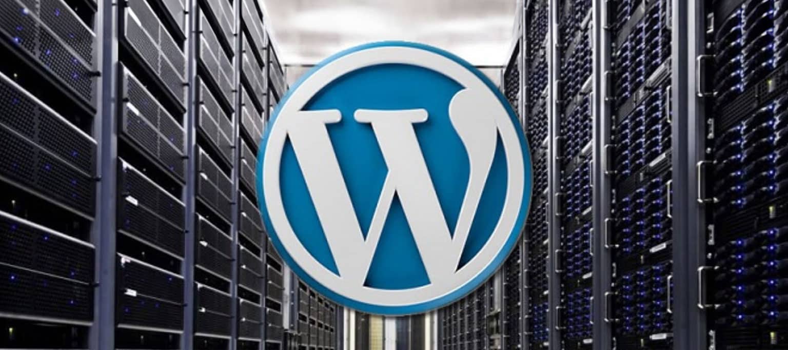 Wordpress İçin Hangi Hosting İle En Yüksek Performansı Elde Edersiniz?